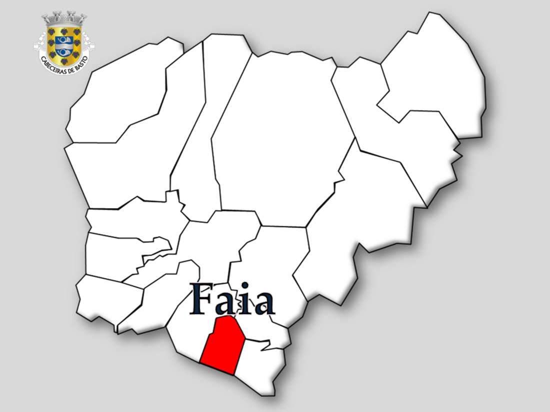 Faia (Cabeceiras de Basto)