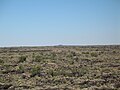 An overview of the lava flows (Little Black Peak in distance).