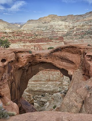 <span class="mw-page-title-main">Cassidy Arch</span> Natural rock arch in Utah, US