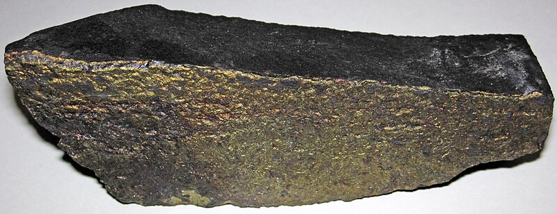 File:Chalcopyrite veinlet in sulfidic shale (Kupferschiefer Formation, Upper Permian; Rudna Copper Mine, Lubin, Poland) 3.jpg