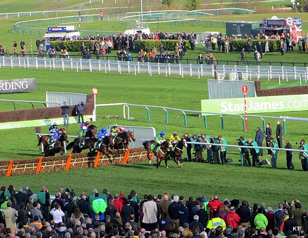 Champion Hurdle, 2014