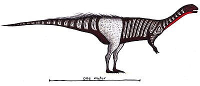 Chilesaurus.jpg