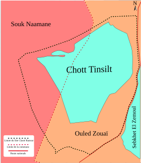 Illustratieve afbeelding van het artikel Chott Tinsilt