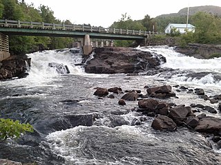 <span class="mw-page-title-main">Petit-Saguenay</span> Municipality in Quebec, Canada