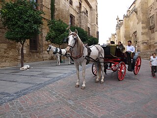 Español: Carro de caballos.
