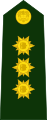 צבא קולמביה - Brigadier general