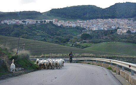 Contessa Entellina (munisipyo)