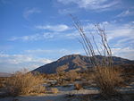 Coyote Mountain (California)