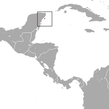 Cozumel Waschbär area.png