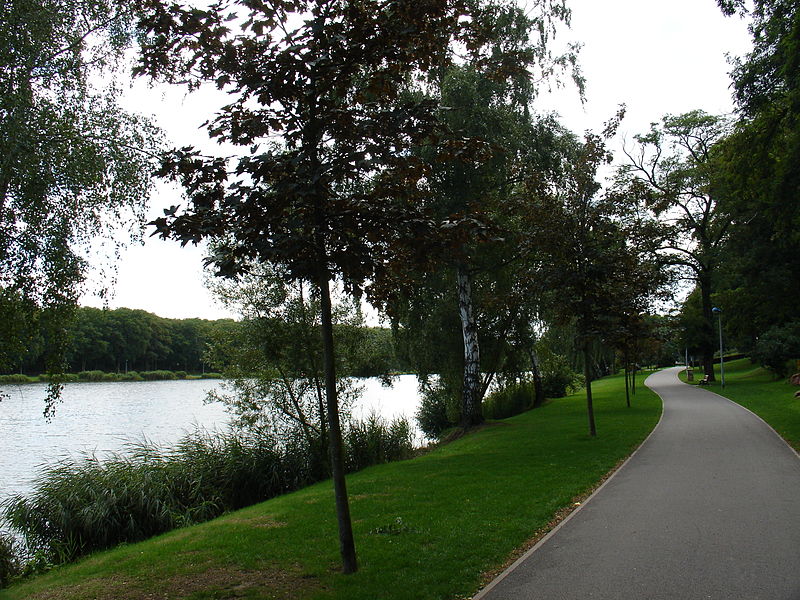 File:Creutzwald lac 02.jpg