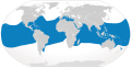 Oceanisk whitetip hai geografisk område