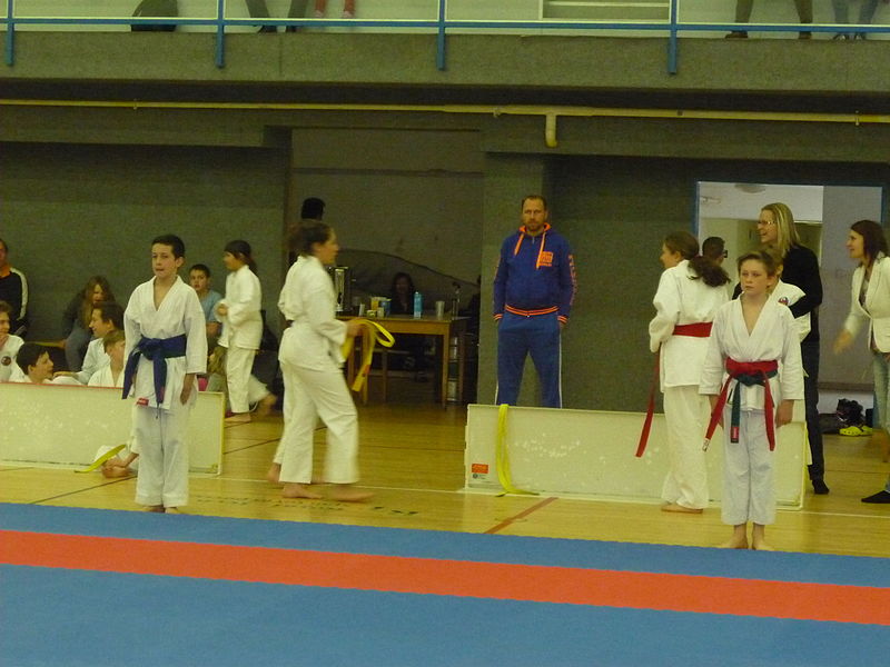 File:Díl III. Otevřený turnaj v karate pro děti a mládež bez rozdílu stylů " KODOMO NO TAIKAI 2016" 34.JPG