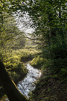 de:Strotbach im de:Naturschutzgebiet Franzosenbach bei Dülmen,