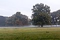 * Nomination Wildpark in morning fog, Dülmen, North Rhine-Westphalia, Germany --XRay 07:01, 29 November 2015 (UTC) * Promotion Good quality. --Jacek Halicki 10:30, 29 November 2015 (UTC)