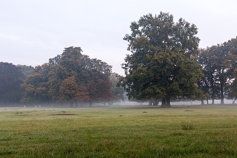 File:Dülmen, Wildpark -- 2015 -- 8803.jpg