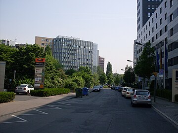 File:Düsseldorf-Lörick_Seestern.jpg