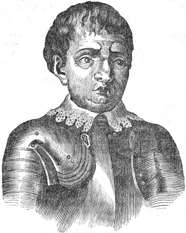Dom Pedro de Menezes, Count of Vianna.
