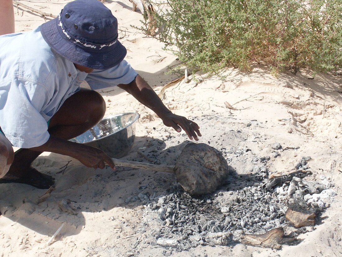 Bush bread