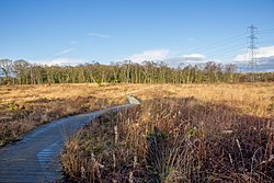 Danes Moss Nature Reserve 2017 06.jpg