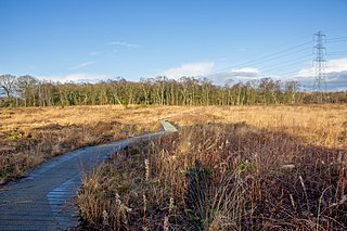 Danes Moss Nature Reserve nature reserve south of Macclesfield, Cheshire, England