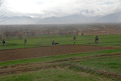 امریکی فوج soldiers help a provincial mentorship team look for weapons caches near Baraki Barak in the صوبہ لوگر of Afghanistan in 2009