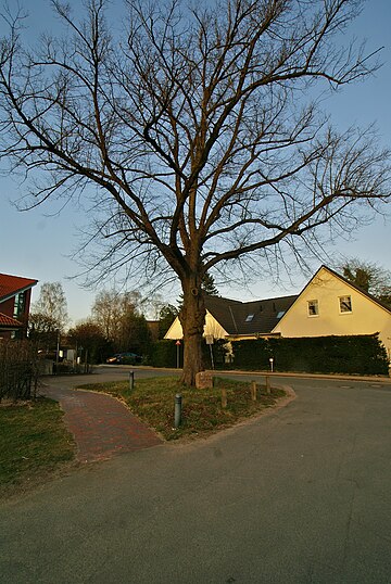 Delingsdorf