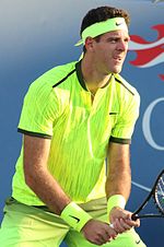 Del Potro US16 (49) (29749591592).jpg