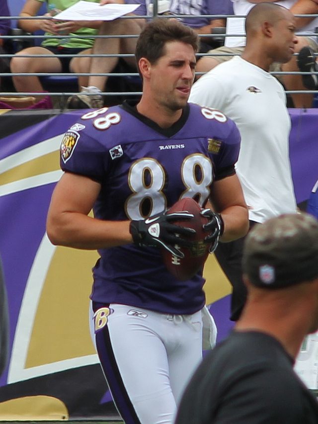 pitta jersey ravens