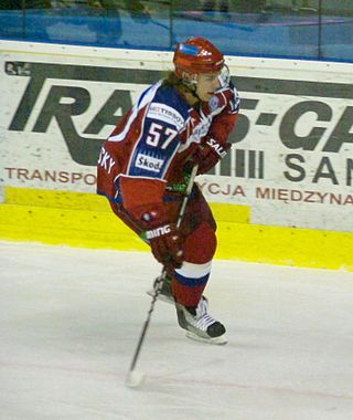 <span class="mw-page-title-main">Dmitri Vishnevsky</span> Russian ice hockey player