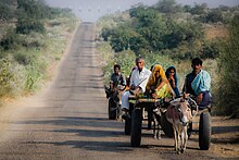 Donkey cart most commonly used for transportation in Thar desert