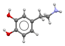 Dopamine, Definition, Function & Effects - Lesson