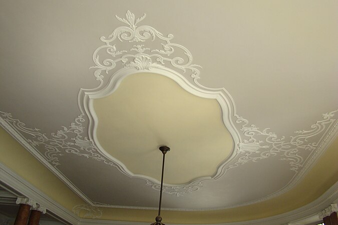 Ceiling canopy