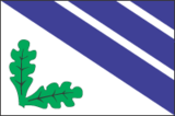 EST Rakvere vald flag.png