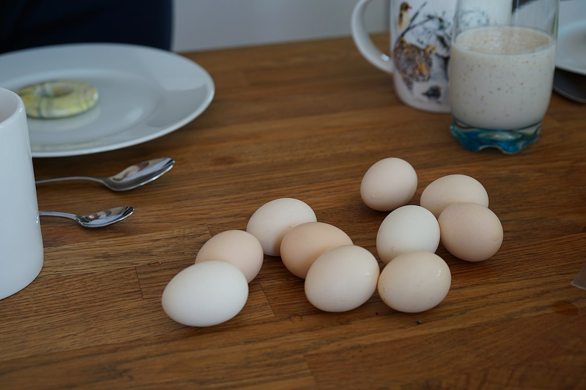 File:Eier von Zwerghühnern 01.jpg.