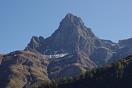 Einshorn Hinterrhein GR 2011-10-02.JPG