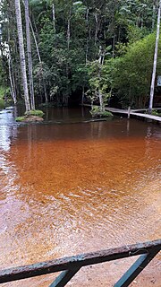 Thumbnail for Grão-Pará Ecological Station