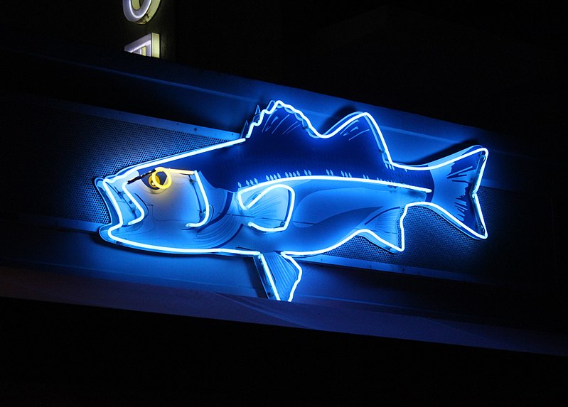 File:Fish neon sign.jpg
