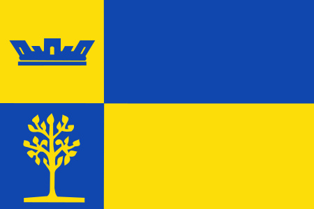 Flag of Stad Delden