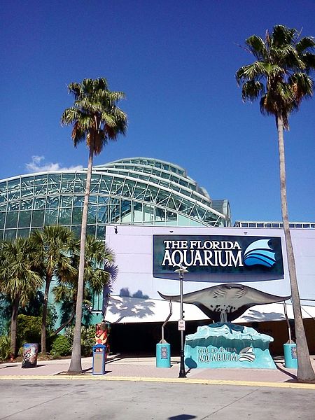 File:Florida Aquarium Channelside.jpg