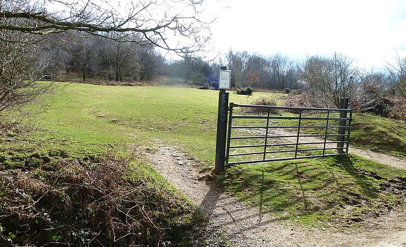 File:Footpath towards Common and May Hill on NT boundary - geograph.org.uk - 3880130.jpg