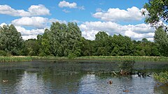 Ford Green Nature Reserve, Smallthorne (geografisch 2478890).jpg