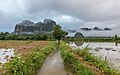 25 Front view of a stream with a tree as vanishing point, mountains and mist in the countryside of Vang Vieng uploaded by Basile Morin, nominated by Basile Morin,  12,  1,  0