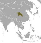 Gansu Mole area.png