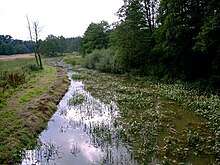 Giehler Bach im Springmoor bei Giehlermühlen