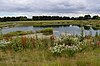 Goldsands Road Pit 3.jpg