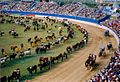 Parade ved Sydney Royal Easter Show i Australia (2009)