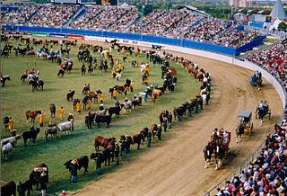 <span class="mw-page-title-main">Agricultural show</span> Public event exhibiting agriculture equipment