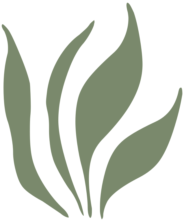 File:Grass Leaves Ornament Green Left.svg - Wikimedia Commons