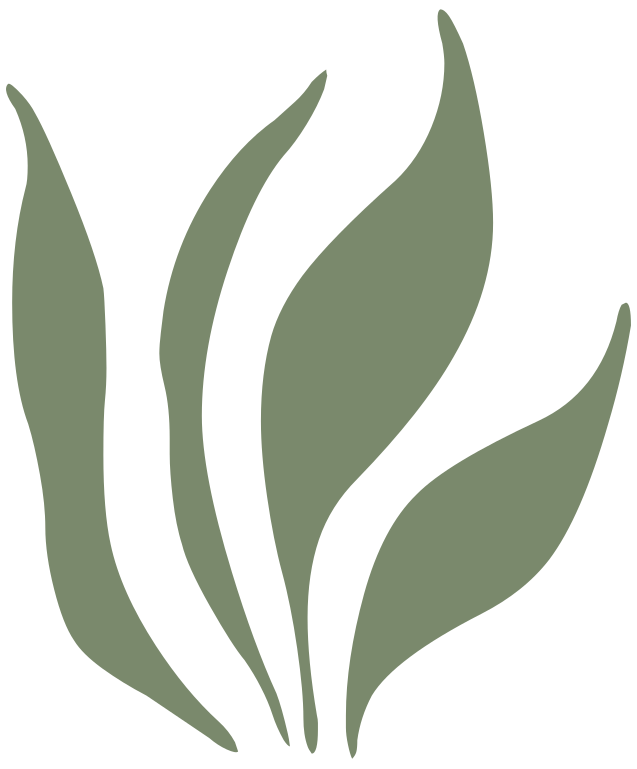 File:Grass Leaves Ornament Green Left.svg - Wikimedia Commons