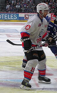 Greg Leeb Canadian ice hockey player (born 1977)
